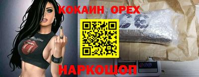дживик Кандалакша