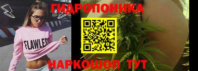 дживик Кандалакша