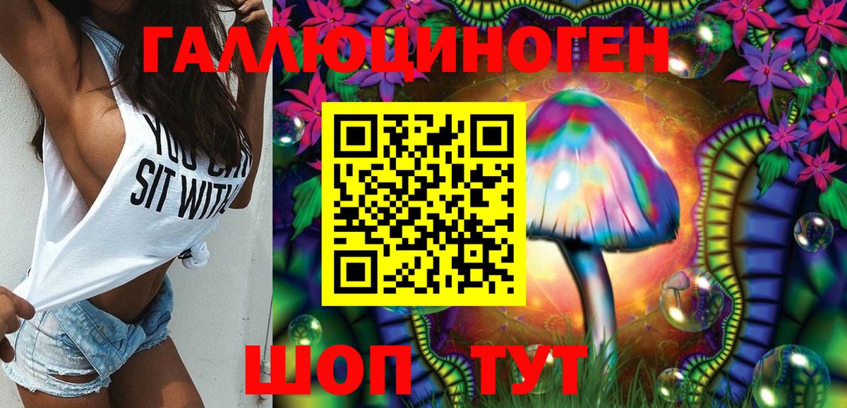Галлюциногенные грибы Psilocybe Фурманов